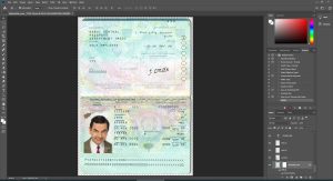 afghanistan passport