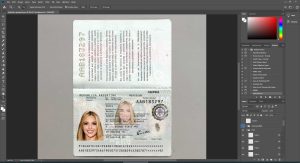 Argentina Passport - version 1