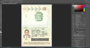 Bolivia Passport