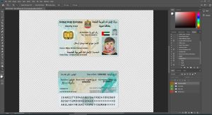 UAE United Arab Emirates id card