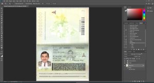 Ecuador Passport