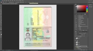 Guinea Bissau Passport
