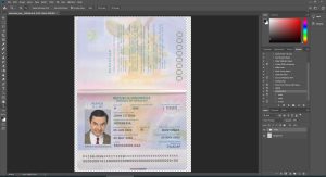Indonesia Passport