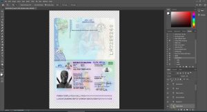Maldives Passport