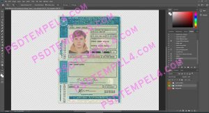 Brazil Brasil driver license