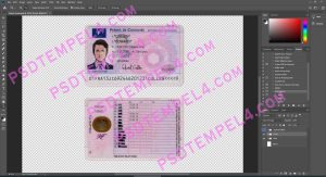 France Driver License